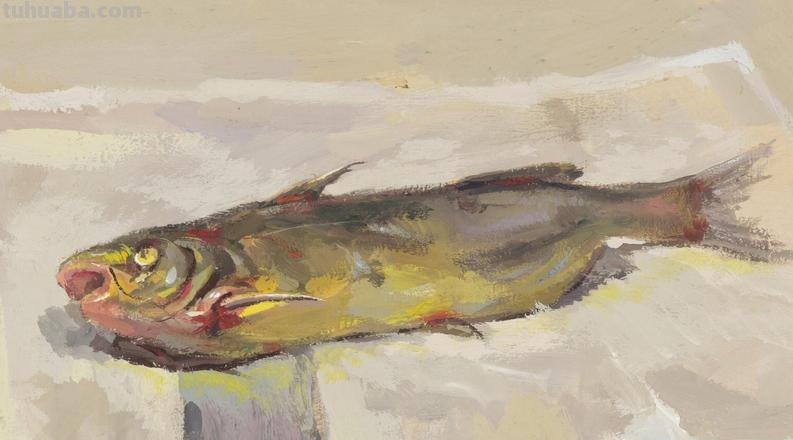 静物鱼色彩：如何运用色彩创造一幅生动的静物鱼画？ 