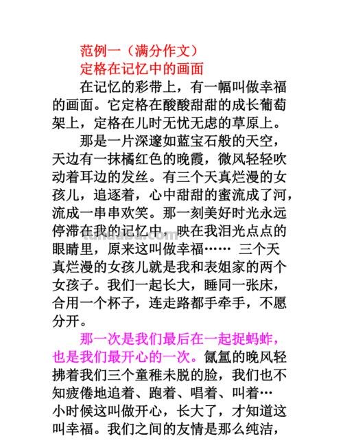 记忆的色彩作文：回忆的五彩斑斓 