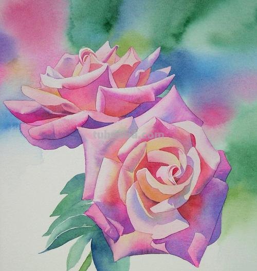 如何运用色彩画法步骤绘制出精美的画作 