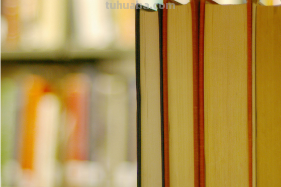 试论掌握知识和发展智力相统一的规律