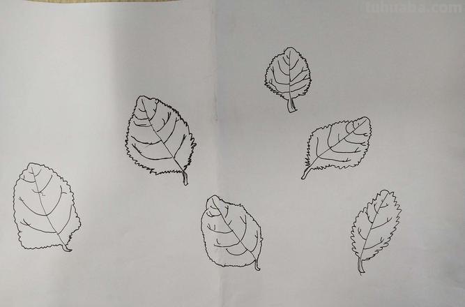 怎么速写叶子 素描时怎样画树的叶子？