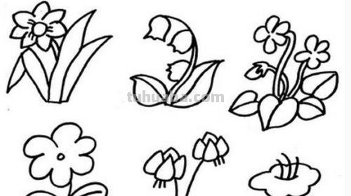 一组植物花卉简笔画，简单明了很清新~