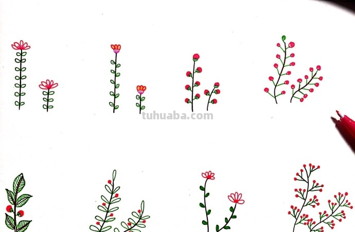 一组植物花卉简笔画，简单明了很清新~