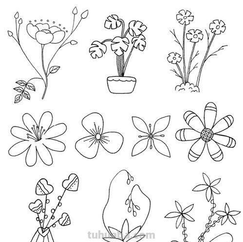 一组植物花卉简笔画，简单明了很清新~