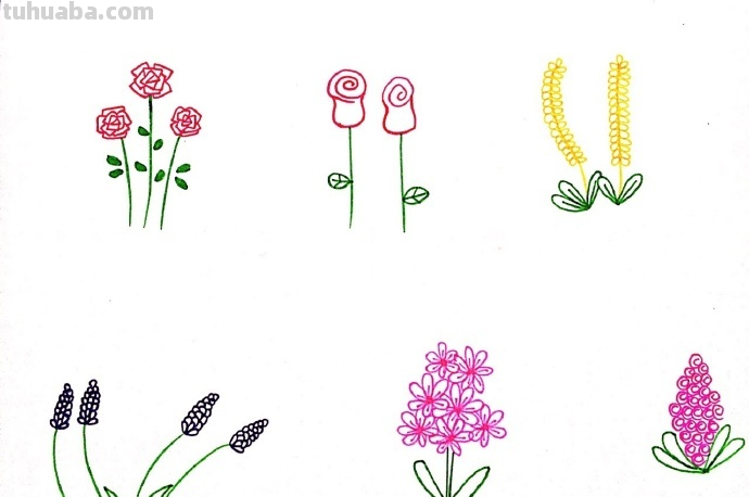 一组植物花卉简笔画，简单明了很清新~