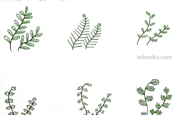 一组植物花卉简笔画，简单明了很清新~