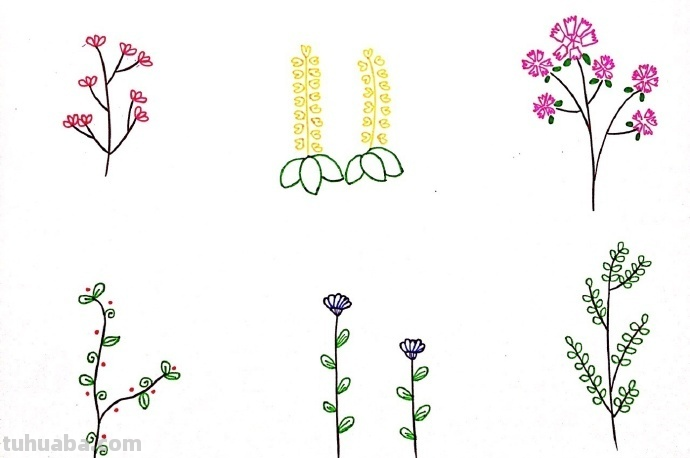 一组植物花卉简笔画，简单明了很清新~