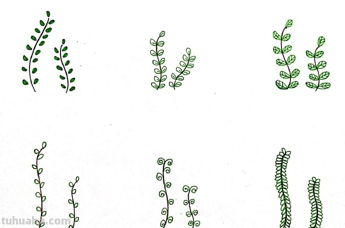 一组植物花卉简笔画，简单明了很清新~