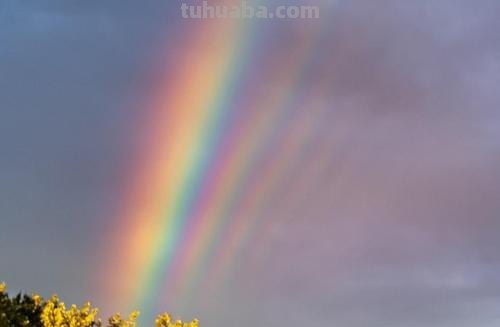 彩虹般绚烂的色彩鲜艳照片，你了解它的风格吗？ 