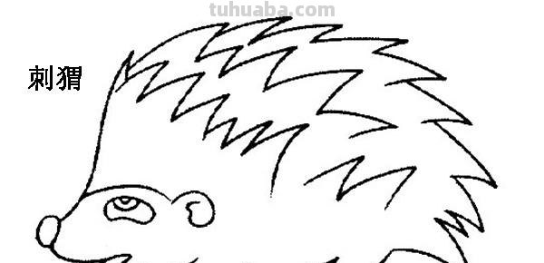 儿童简笔画大全,学习不同的形状画简笔画,动物简笔画,简单可爱 儿童简笔画大全,学习不同的形状画简笔画,动物简笔画,简单可爱