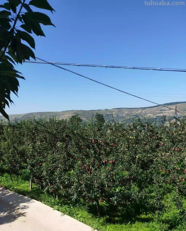 郊区速写场景 速写街景十个技巧？