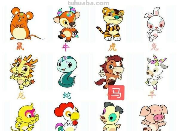 七色彩衣不用裁是什么生肖?