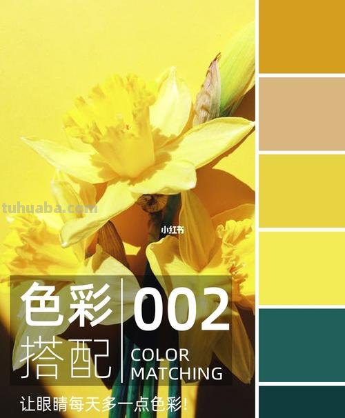 如何运用三种色彩搭配方法打造时尚潮流 