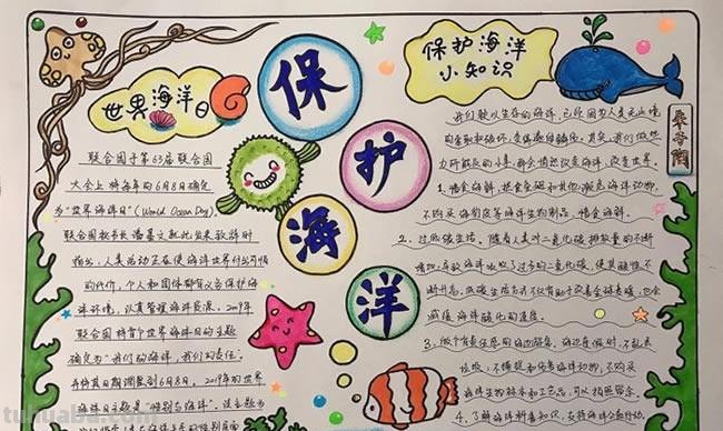 怎么写海洋手抄报 走向海洋手抄报内容怎么写?