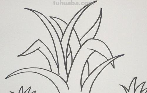 草坪小草怎么画简笔画 小草怎么画_怎样画小草？