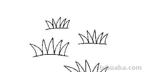 草坪小草怎么画简笔画 小草怎么画_怎样画小草？