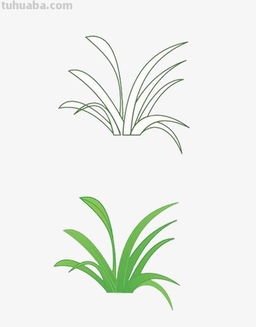草坪小草怎么画简笔画 小草怎么画_怎样画小草？