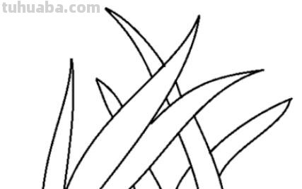 草坪小草怎么画简笔画 小草怎么画_怎样画小草？