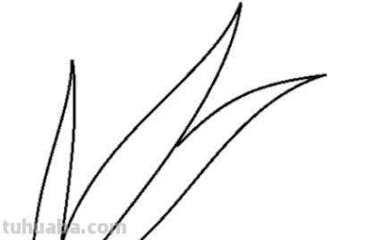 草坪小草怎么画简笔画 小草怎么画_怎样画小草？