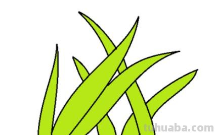 草坪小草怎么画简笔画 小草怎么画_怎样画小草？