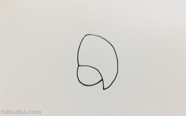 鹦鹉怎么画 彩铅颜色 鹦鹉怎么涂色？