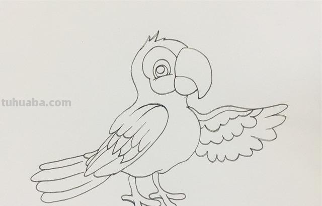 鹦鹉怎么画 彩铅颜色 鹦鹉怎么涂色？