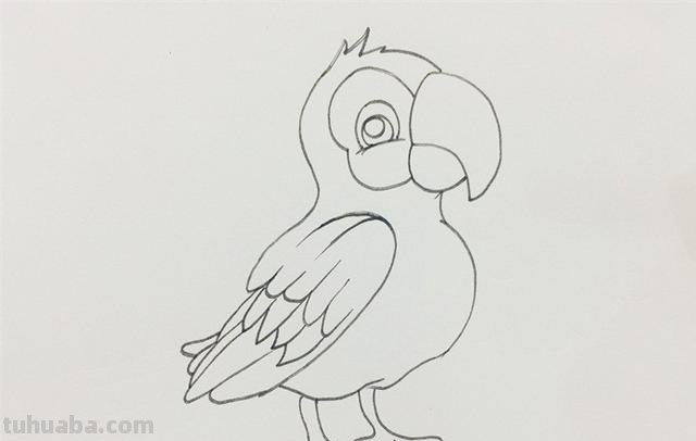 鹦鹉怎么画 彩铅颜色 鹦鹉怎么涂色？