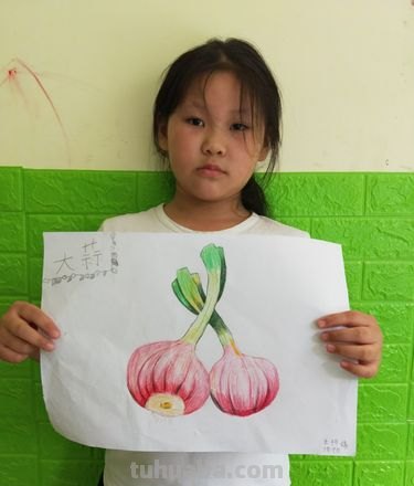 大蒜色彩及大蒜色彩的画法 