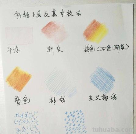 画彩铅怎么选线笔 彩铅上色的画，用什么勾线呢？