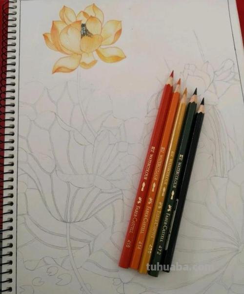 画彩铅怎么选线笔 彩铅上色的画,用什么勾线呢?