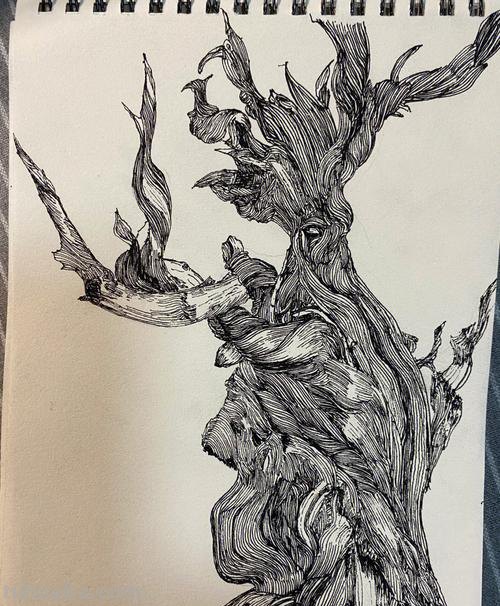 枯木速写画技巧 速写的技巧和方法？