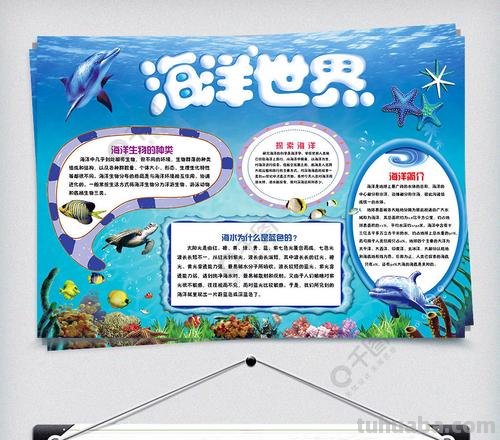 海洋手抄报怎么写 有关海的手抄报？