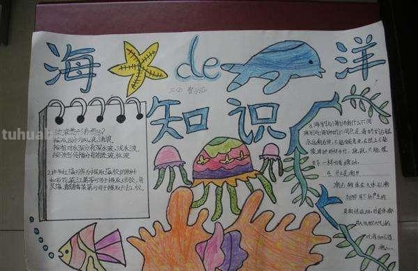 海洋手抄报怎么写 有关海的手抄报？