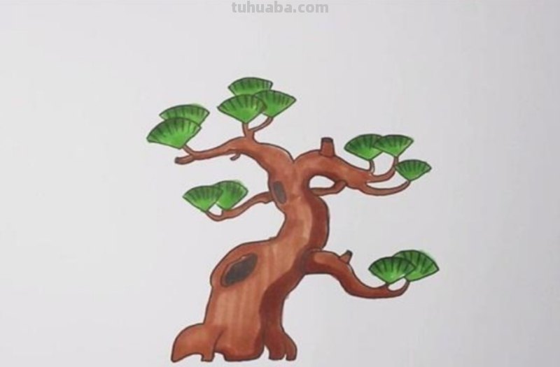 松树叶怎么画简笔画 松树的简笔画法？