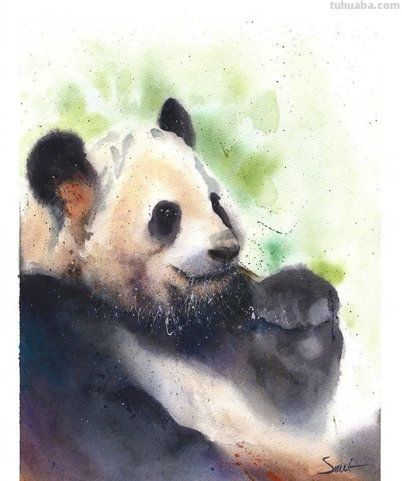 水彩动物肖像画：充满动感和生命的史诗巨作