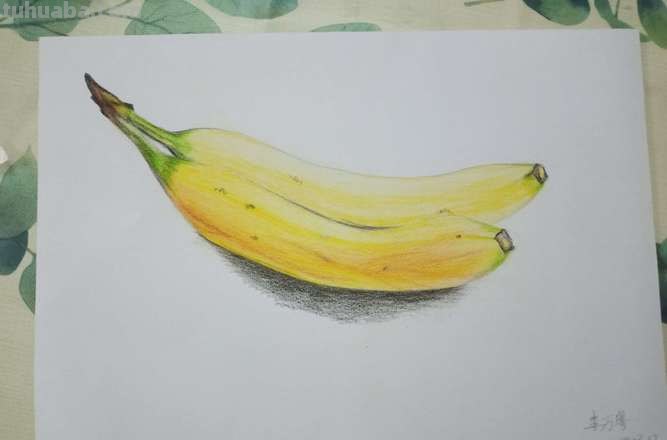 怎么画彩铅素描视频 彩铅素描入门基础教程步骤？