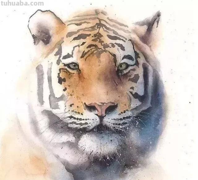 水彩动物肖像画：充满动感和生命的史诗巨作