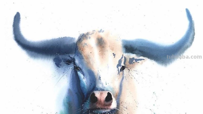 水彩动物肖像画：充满动感和生命的史诗巨作