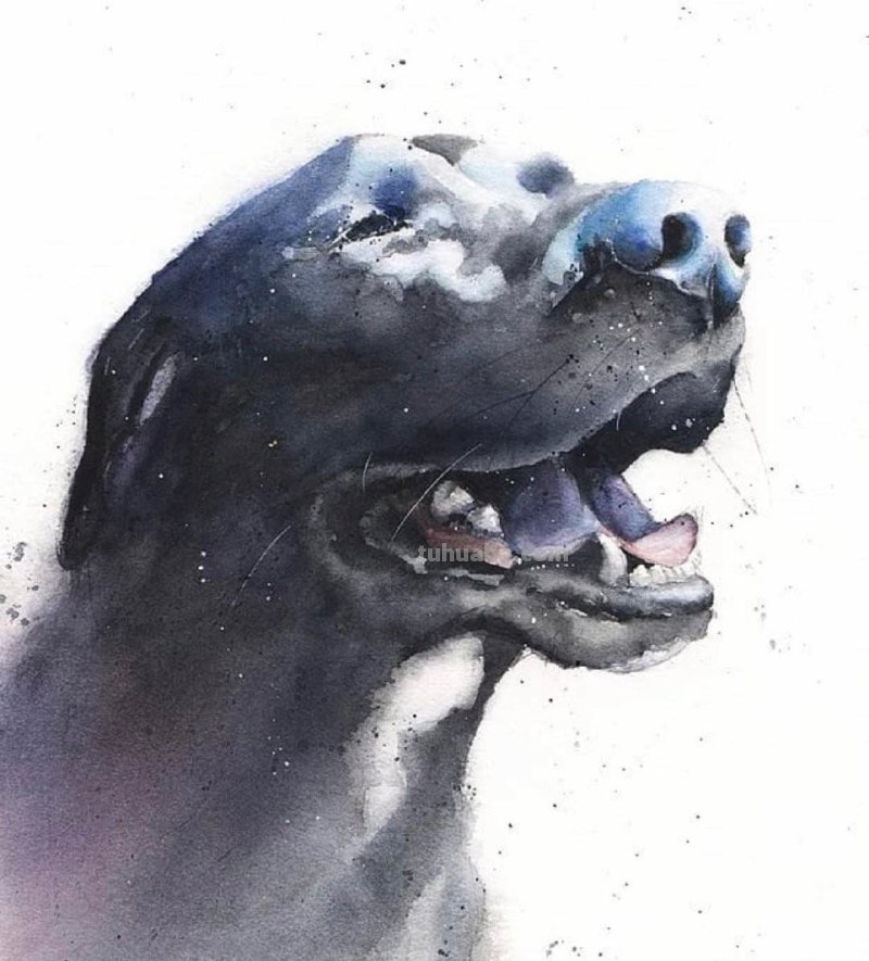 水彩动物肖像画：充满动感和生命的史诗巨作