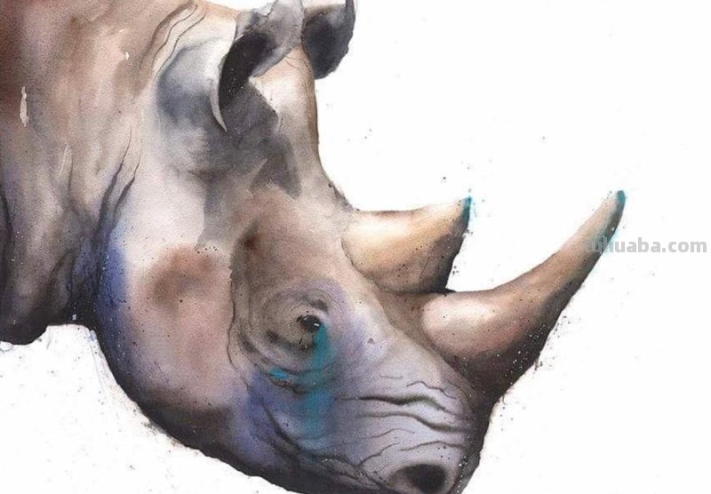 水彩动物肖像画：充满动感和生命的史诗巨作