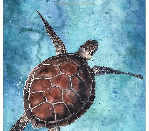 水彩动物肖像画：充满动感和生命的史诗巨作
