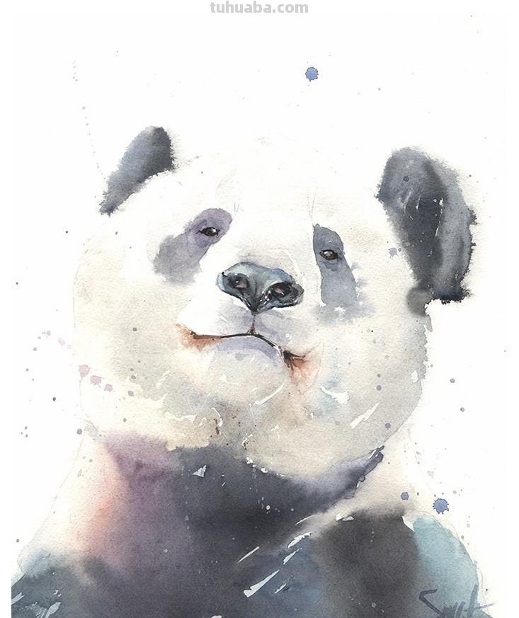 水彩动物肖像画：充满动感和生命的史诗巨作