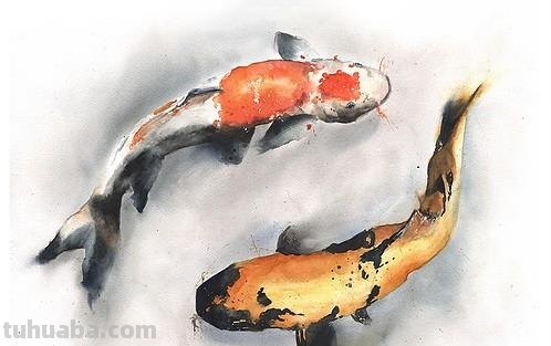 水彩动物肖像画：充满动感和生命的史诗巨作