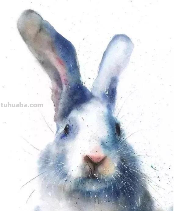 水彩动物肖像画：充满动感和生命的史诗巨作