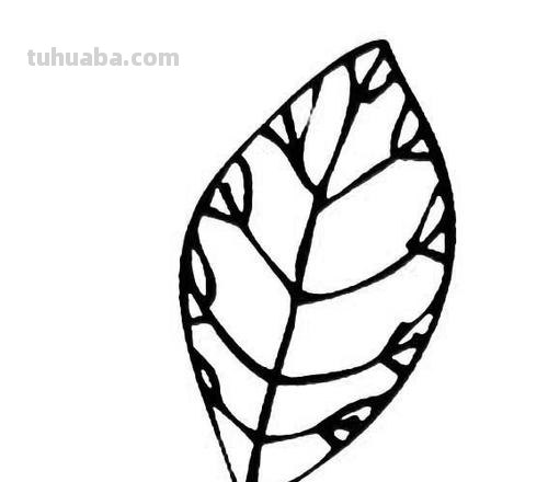 树叶怎么画简笔画大全 画树叶的简笔画?