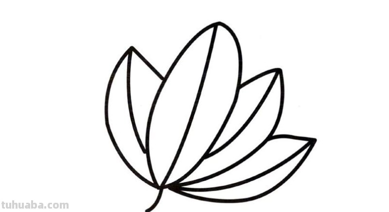 树叶怎么画简笔画大全 画树叶的简笔画?
