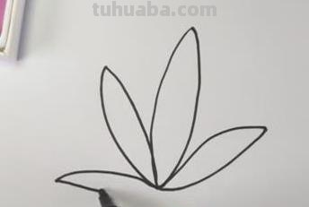 树叶怎么画简笔画大全 画树叶的简笔画？