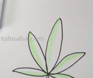 树叶怎么画简笔画大全 画树叶的简笔画？