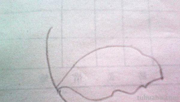 树叶怎么画简笔画大全 画树叶的简笔画？