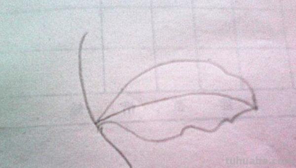 树叶怎么画简笔画大全 画树叶的简笔画？